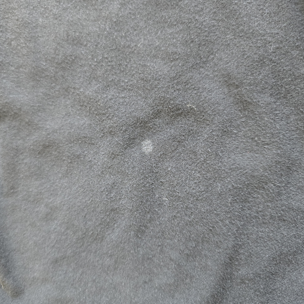 2019 Bee Tee - image 8